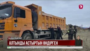 Заңсыз алтын өндірген бес кәсіпорын анықталды