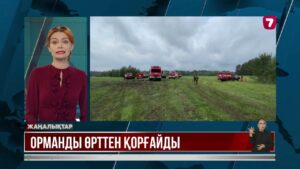 «Ақылды» камералар орманды өрттен қорғайды
