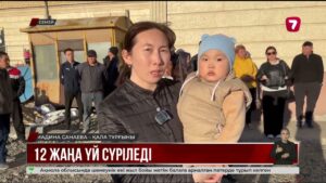 Семейде заңсыз салынған баспалар сүріледі