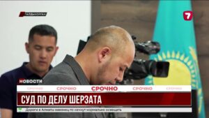 Суд по делу об убийстве Шерзата Полата продолжается