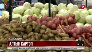 Келісі 1299 теңгенің картобы қазақстандықтарды шошытты
