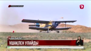 Түркістанда шегірткені улап жатыр