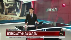 Жүк пойызының астынан өтпек болған әйел адам қаза тапты
