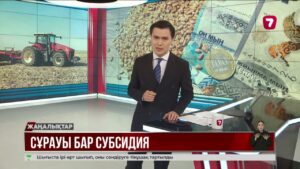 Диқаншылар 500 млн теңге өтемақыны қайтаруға мәжбүр