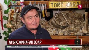 Ақтөбелік коллекционер 3,5 мыңға жуық асық жинаған