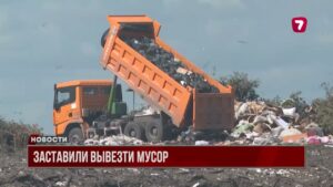 Активисты в Астане доставили мусор к офису застройщика, устроившего свалку