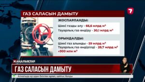 Газ саласын 2029 жылға дейін дамытудың кешенді жоспары әзірленді