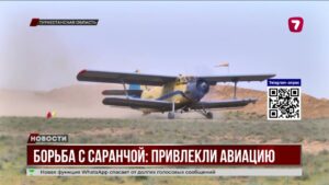 В Туркестанской области с саранчой борются с воздуха, земли и дронов, охват — 9 районов региона