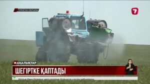 Түркістан облысын шегіртке қаптады