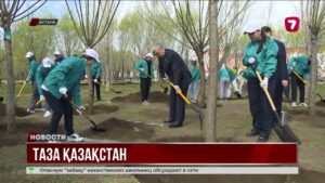 4,5 миллиона сеянцев высажены в рамках акции «Таза Қазақстан»