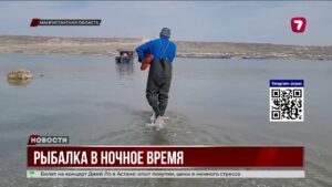 Рыбакам Мангистау запретили ночной лов