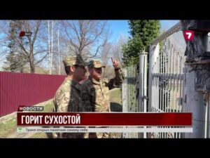 В ВКО всплеск пожаров: за выходные зафиксировано свыше 150 возгораний сухостоя