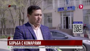 В Атырау начали травить комаров: из бюджета выделили рекордные 244 миллиона тенге