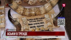 Актюбинец собрал 3,5 тысячи асыков и хочет попасть в Книгу рекордов Казахстана