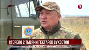 В ВКО сгорели 2 тысячи гектаров камыша, пожар тушили с воздуха и земли