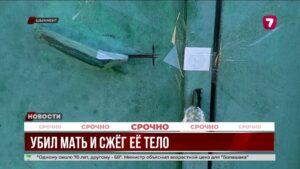 В Шымкенте завершили дело Дархана Жолдыбаева, убившего мать при диагнозе шизофрения