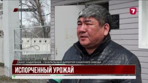 Гниющая свекла беспокоит жителей Жетысу