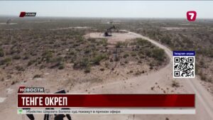 Цены на нефть выросли после заявления Трампа