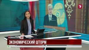 Президент: экономический шторм не затронет проекты