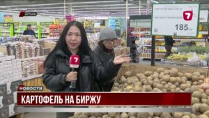 Новую модель стабилизации цен на картофель предложили в Казахстане