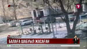 Павлодарда 9 жасар балаға ер адам шабуыл жасады