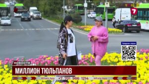 В Шымкенте зацвели тюльпаны: 1,25 млн цветов украшают город