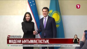 Ерлан Қарин Өзбекстан Президентінің көмекшісі Саида Мирзиёевамен жүздесті