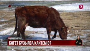 Қарағандыда Ынталы тұрғындары су қоймасының құрылысына қарсы