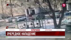 Очередное нападение