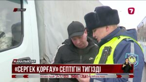 Sergek Qorgau қосымшасы шетелдік сарапшылардың оң бағасына ие болды