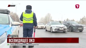 Казахстанское приложение «Сергек Коргау» признали за рубежом