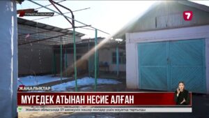 Сарыағашта мүгедек жігіттің атына несие алып, пышақтап өлтірген