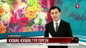 Қазақстандық бағбандар да қызғалдақтың отыз шақты түрін өсіреді