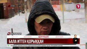 Ақтөбеде 1-сынып оқушысының өліміне ит себеп болуы мүмкін