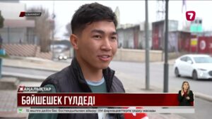 Шымкентте жаз: тұрғындар шомылу маусымын бастап кетті @TheSevenNews​