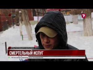 В Актобе семилетний мальчик умер после нападения собаки
