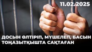 Досын өлтіріп, мүшелеп, басын тоңазытқышта сақтаған | 11.02.2025