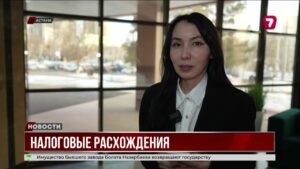 Казахстанские блогеры не заплатили налогов на 53 миллиарда тенге @TheSevenNews​