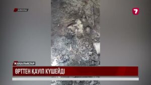 Ақсай шатқалын өрт шарпыды: 5 гектар алқап жанып кетті