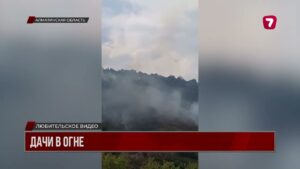 Пожару в Аксайском ущелье в Алматинской области присвоили пятый уровень