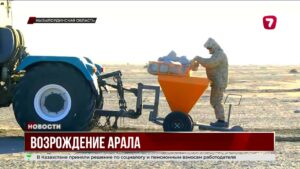 Аральское море оживает: экосистема возвращается к жизни