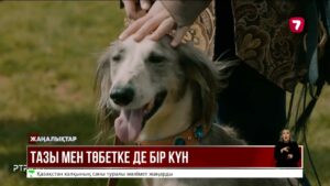 Экология министрі тазы мен төбет күнін атап өтуді ұсынды