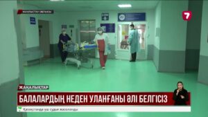 Қызылсайдағы мемлекеттік балабақша уақытша жабылды