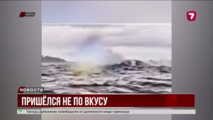 Горбатый кит проглотил каякера и выплюнул обратно