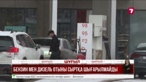 Елден бензин және дизель отынын шығаруға тыйым салынды