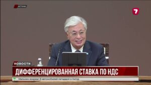 Президент Казахстана поручил Правительству проработать ставку НДС