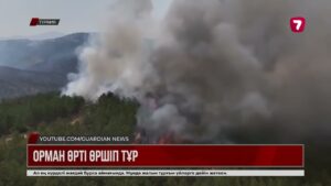 Түркиядағы орман өртінің 96%-ы адамның кесірінен болған