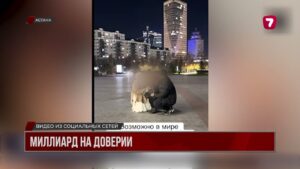 В Астане пара собирала деньги «на лечение сына», а купила квартиры и машины