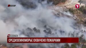 В средиземноморском регионе продолжают бушевать сильные пожары