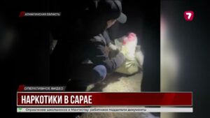 В Алматинской области задержаны наркодельцы с 24 кг синтетического наркотика
